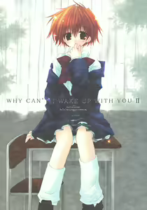 WHY CAN'T I WAKE UP WITH YOU Ⅱ — hentai manga cover on Fhentai