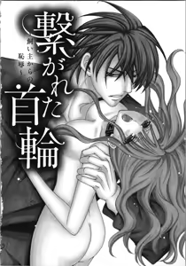 Page 70 of Tsunagareta Kubiwa - Kainushi kara no Chijoku - preview thumbnail