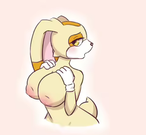 Page 422 of Cream the Rabbit Collection Part 4 - preview thumbnail
