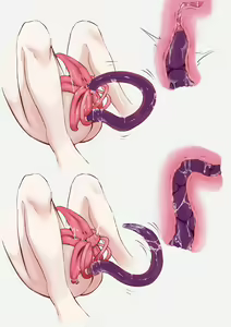 Page 8 of mumi-daohu -Tentacle driven doll- - preview thumbnail
