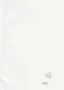 Page 3 of Tuánshàn de liúyí - preview thumbnail