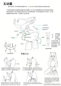 Page 983 of LinAur0ra的收藏 - preview thumbnail