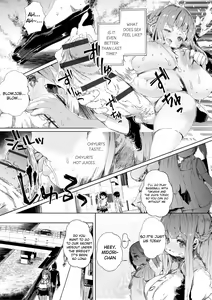 Page 13 of Futanari no Lotte - preview thumbnail
