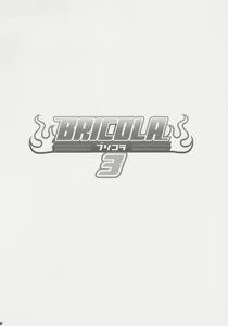 Page 3 of BRICOLA 3 - preview thumbnail