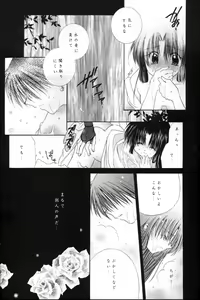 Page 19 of Kono Sora ni Hikari no Shizuku o Chiribamete - preview thumbnail