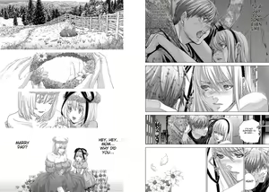 Page 3 of Holy Knight ~Junketsu to Ai no Hazama de~ Vol. 11 | Holy Knight ~Between Purity and Love~ Vol. 11 - preview thumbnail