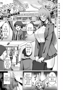 Midara na Usagi to Chiisana Kimi - Indecent rabbit and little you. — hentai manga cover on Fhentai