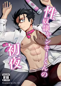 Seidorei Yankee-kun no Shoya - hentai manga cover image