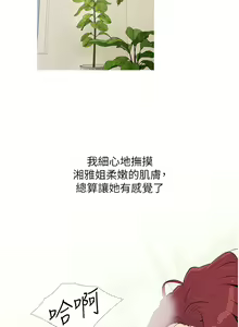 Page 80 of 糖果爸爸的抢婚大作战 | 糖果爸爸的搶婚大作戰 1-35 END - preview thumbnail