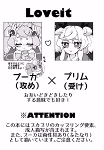 Page 3 of Loveit Puca x Preme - preview thumbnail