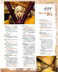 Page 33 of Fate/stay night Premium FanBook - preview thumbnail