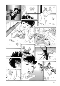 Page 90 of Paraiso - Warau Kyuuketsuki 2 | The Laughing Vampire Vol. 2 - preview thumbnail