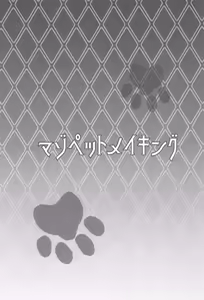 Page 3 of Maso Pet Making + Paper - preview thumbnail