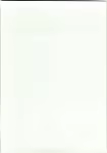 Page 2 of CS RADICAL - preview thumbnail