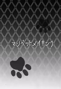 Page 3 of Maso Pet Making + Paper - preview thumbnail