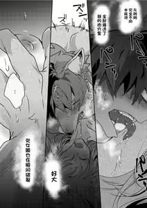Page 13 of Doutei Bushi Ookami - preview thumbnail