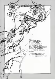 Page 23 of Lyrical Over Driver StrikerS - preview thumbnail