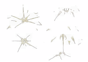 Page 414 of - Templates - preview thumbnail