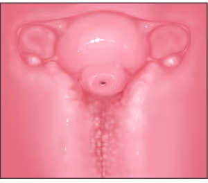 Page 4 of Futanari CG Collection Progress: Missionary Sex (Primera Subjective) + Cross-Section + Massive Ejaculation Summary - preview thumbnail