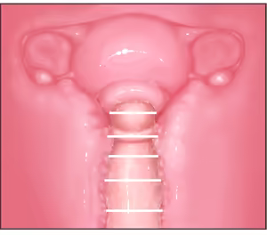 Page 8 of Futanari CG Collection Progress: Missionary Sex (Primera Subjective) + Cross-Section + Massive Ejaculation Summary - preview thumbnail