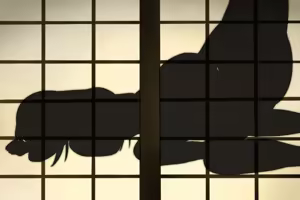 Page 193 of Tsugai mura no inshū - preview thumbnail