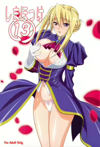 Shimahokke 13 — hentai manga cover on Fhentai
