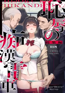 恥辱の痴●電車 総集編 - hentai manga cover image