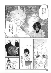 Page 37 of Pirontan 21 - preview thumbnail