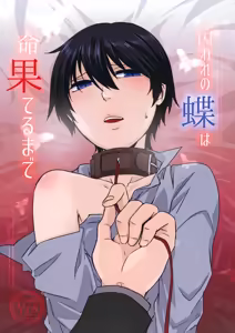 Toraware no Chou wa Inochi Hateru Made - hentai manga cover image
