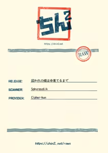 Page 19 of Toraware no Chou wa Inochi Hateru Made - preview thumbnail