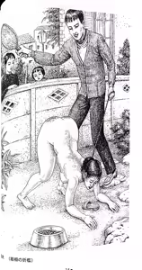 Page 33 of Asaji Muroi's Picture book of Female dogs - preview thumbnail