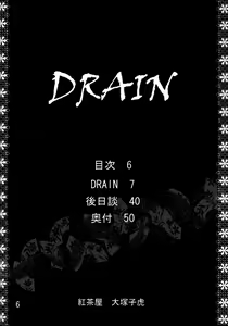 Page 5 of Drain - preview thumbnail