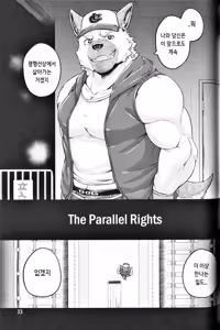 Page 33 of Parallel Rights - preview thumbnail