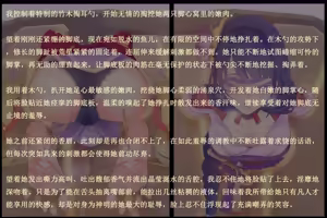 Page 40 of 老白 - preview thumbnail