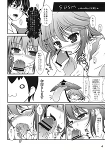 Page 3 of SDSM - preview thumbnail