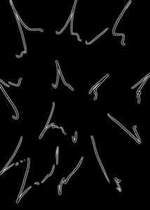 Page 234 of Nom（2024-1-15-2024-7-30） - preview thumbnail