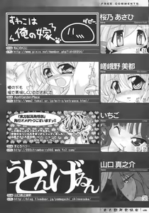 Page 86 of Touhou Kemomimi Hatsujousai - preview thumbnail
