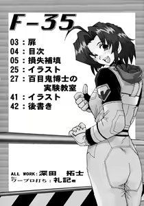Page 3 of F-35 - preview thumbnail