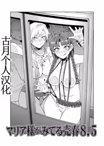 Maria-Sama ga Miteru Baishun 8.5 - hentai manga cover image