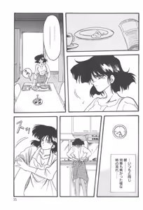 Page 34 of Hiiro no Koku Kanzenban - preview thumbnail