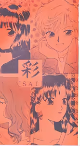 Page 3 of SAI - preview thumbnail
