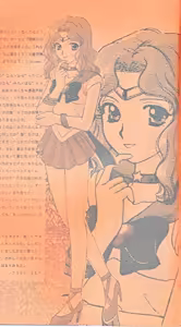 Page 5 of SAI - preview thumbnail