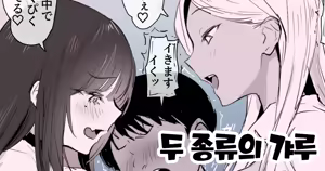 2-shu no Gal | 두 종류의 갸루 — hentai manga cover on Fhentai
