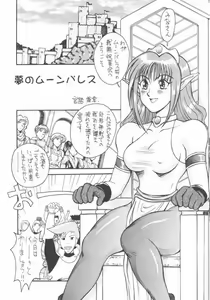 Page 4 of SEGATA 346 - preview thumbnail