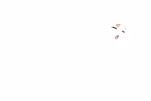 Page 373 of Lusty Dungeon - preview thumbnail