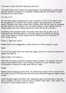 Page 4 of Misuke's Short Stories 25 - Mantis NTR - preview thumbnail