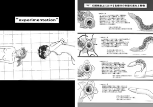 Page 4 of P045-02 Vanis Report - preview thumbnail