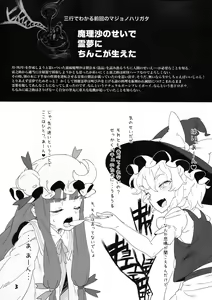 Page 3 of D.P.C.H.C.N.H. hon - preview thumbnail