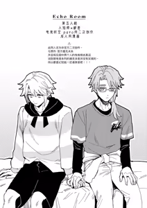 Page 3 of Echo room - preview thumbnail