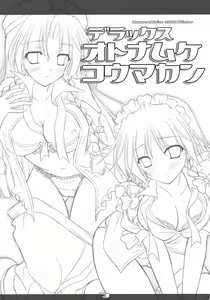 Page 3 of Deluxe Otonamuke Koumakan - preview thumbnail